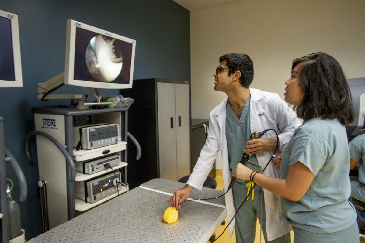 Lab specialists Arman Ghafari and Ivana Tan demonstrate how an endoscope helps to remove kidney stones by instead using the device to pluck seeds from a yellow bell pepper.