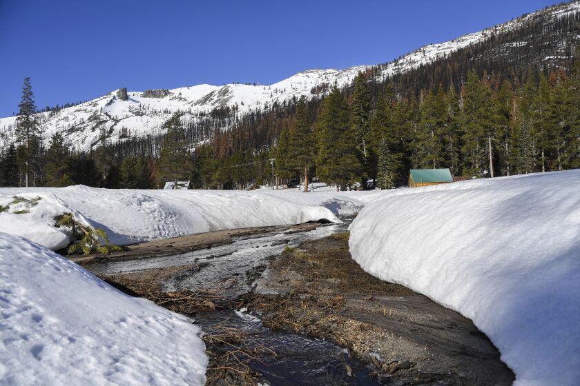 In this photo provided by the California Department of Water Resources, snow melts into a creek flowing into the South Fork American River, near the where the California Department of Water Resources held the second snow survey of the season at Phillips Station near Echo Summit, Calif., Tuesday, Feb. 1, 2022. The survey found the snowpack at 48.5 inches with 19 inches of snow water content. That's 109% of the historical average at this time of the year. But statewide, the water in the snowpack is 92%. (Kenneth James/California Department of Water Resources via AP)