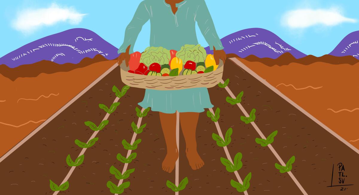 An illustration of a woman harvesting vegetables in a field 