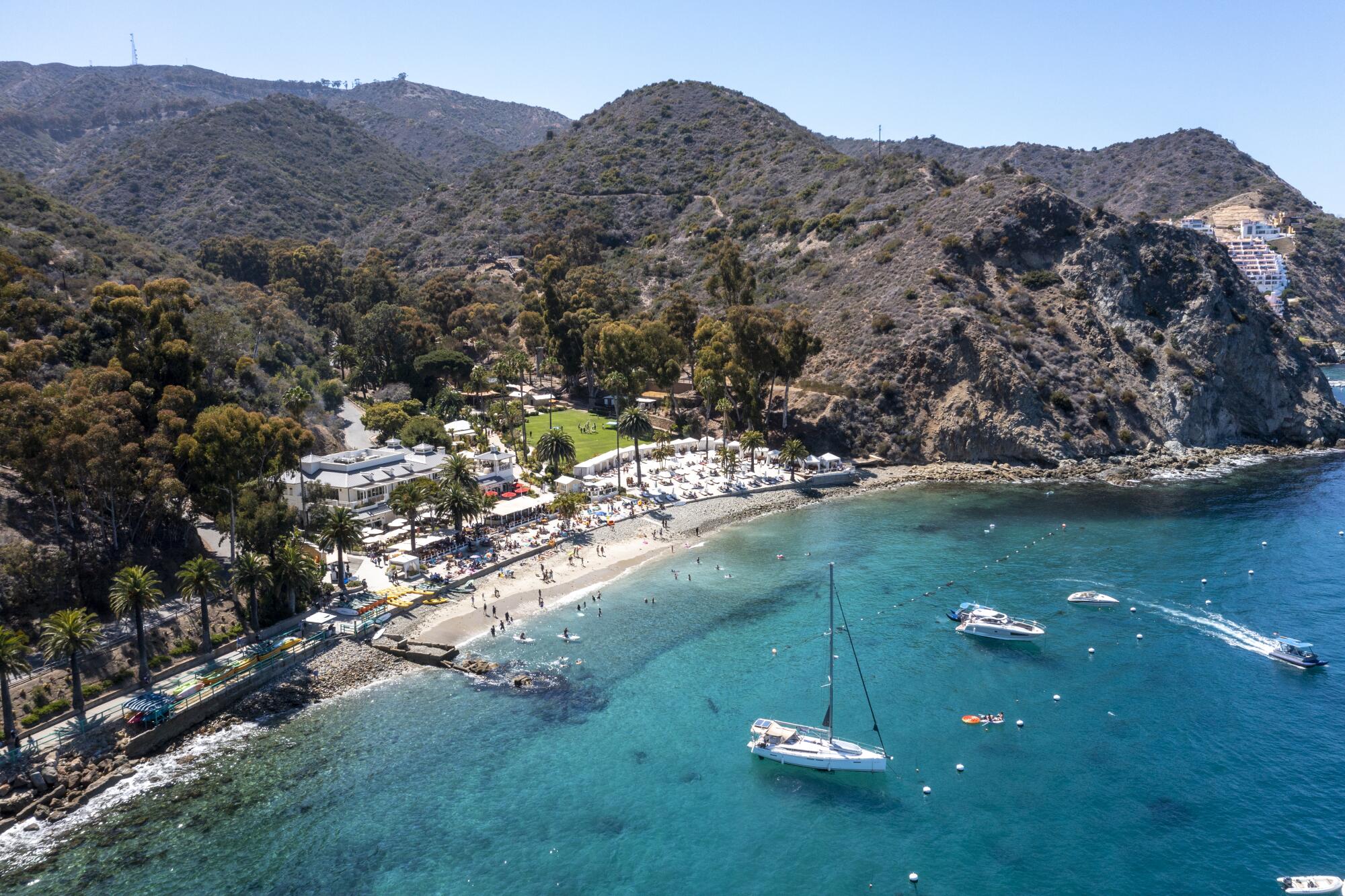 Things to Do in Santa Catalina Island: Discover Adventure
