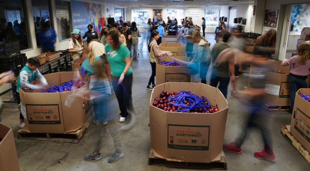 Girl Scouts from around San Diego County inspect apples for quality and prepare four-pound bags at Feeding San Diego.