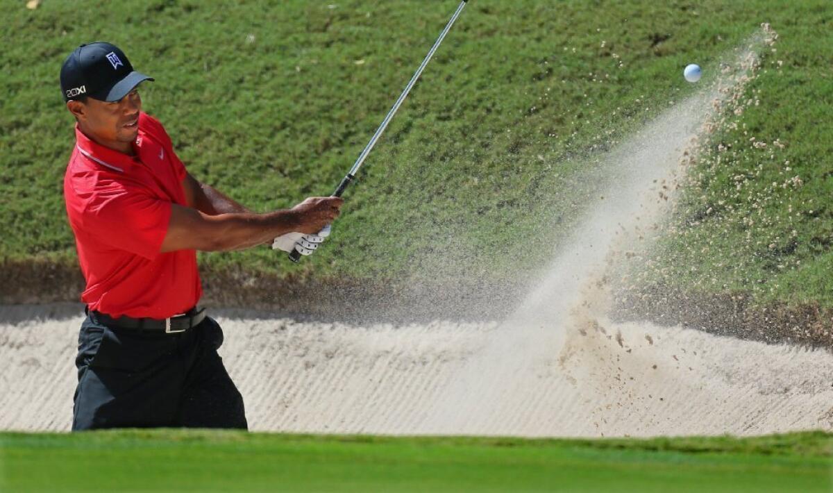 Tiger Woods is satisfied with how he performed in 2013.