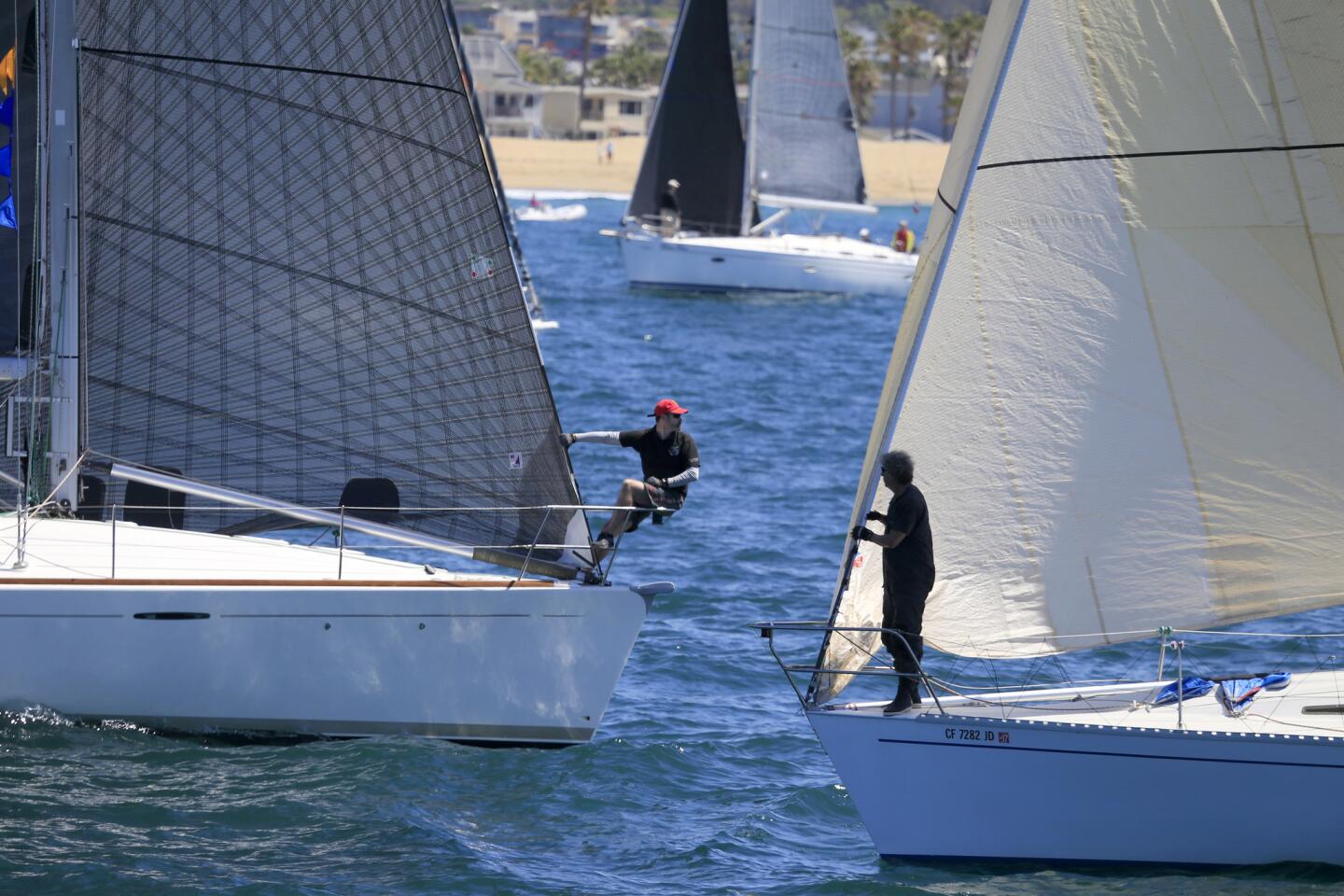 Newport to Ensenada race