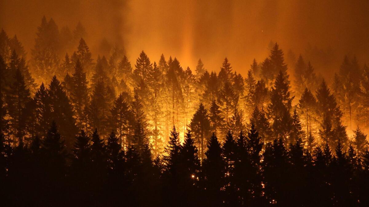 Among the issues Western governors are discussing during a two-day conference in Phoenix is the threat of wildfires, such as this one near Cascade Locks, Ore., in September.