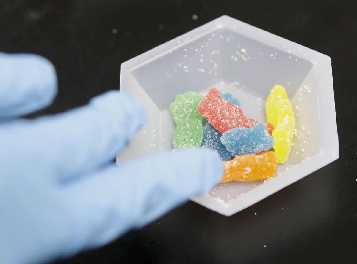 Edible marijuana samples are set aside for evaluation at a cannabis testing laboratory in Santa Ana in 2018.