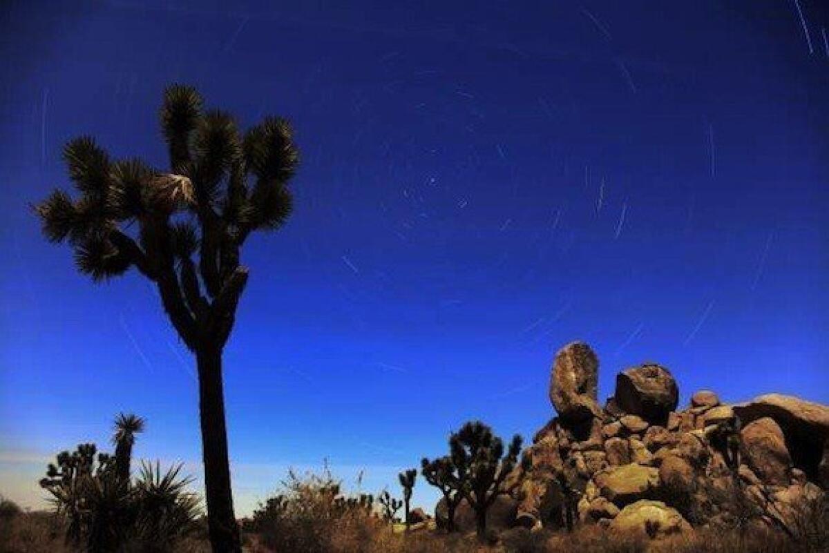 Joshua Tree National Park about three hours from Los Angeles is a perfect place to meteor-watch without interference from lights.