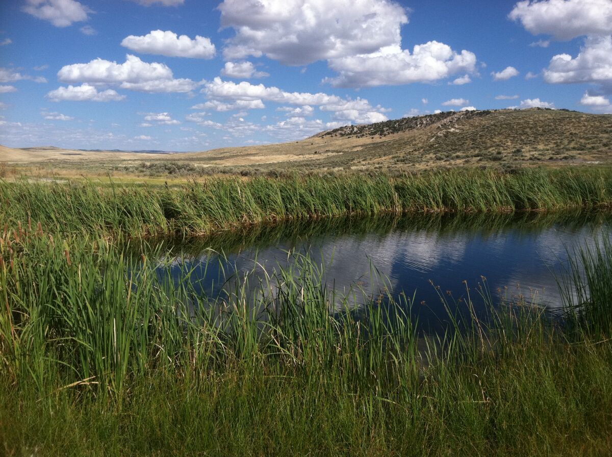 A pond surrounded by grass, with a hill and clouds in the background