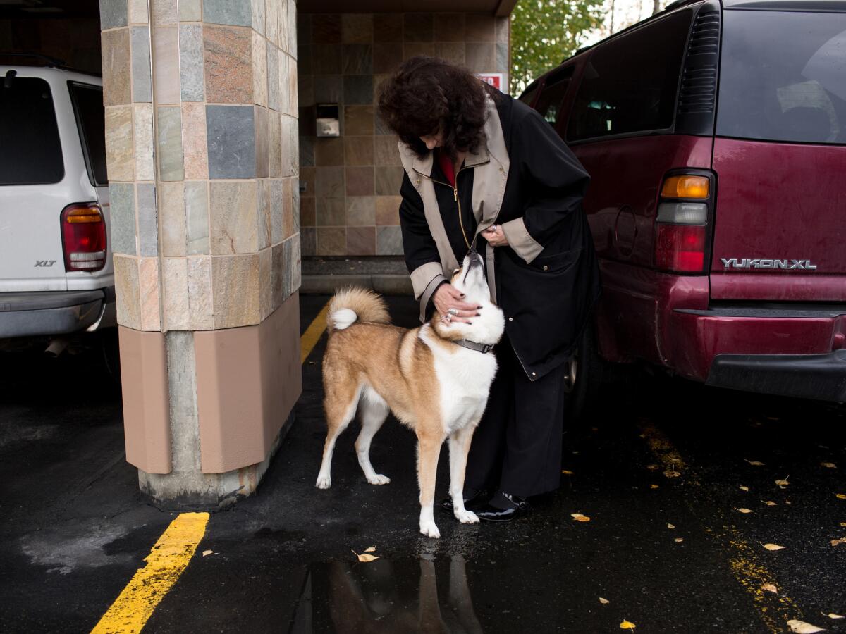 Avonna Murfitt takes her son's dog for a walk outside the office where she works as a paralegal in Anchorage. (Ash Adams / For The Times)
