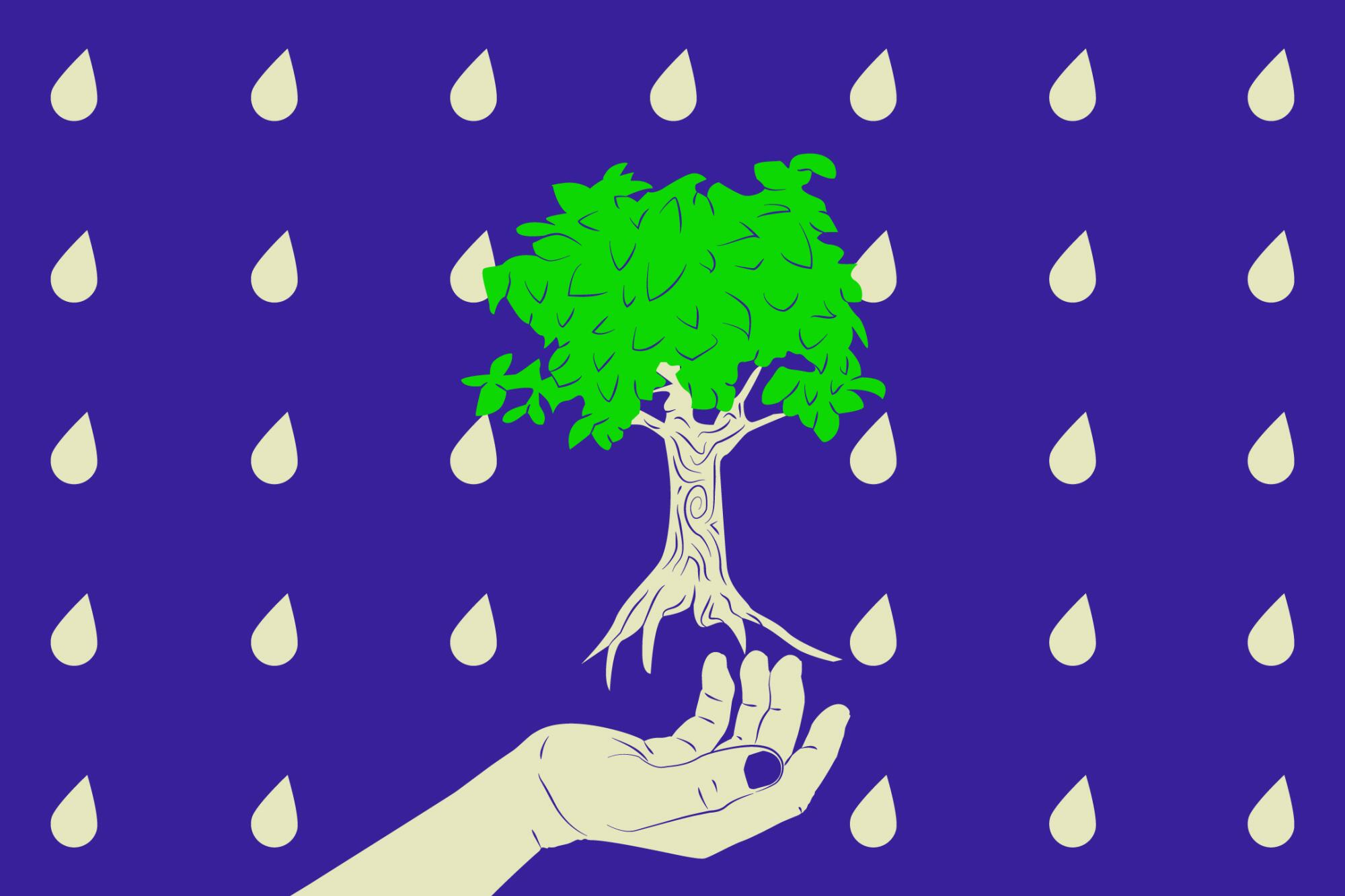 Illustration shows a tree over an outstretched hand, with water droplets in a pattern