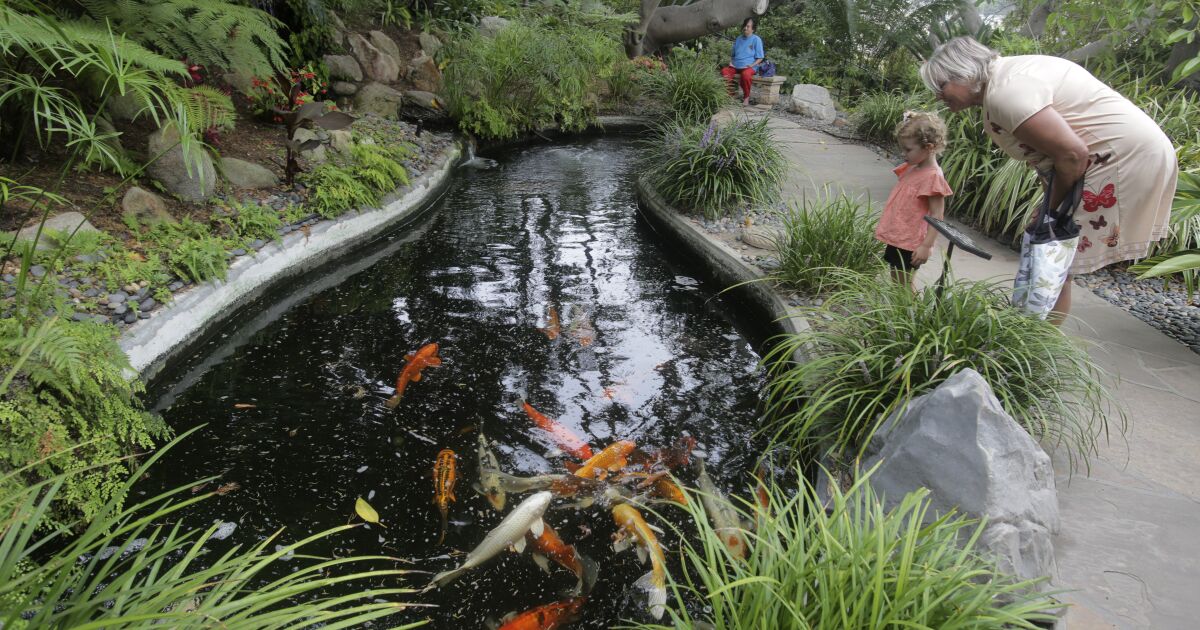 In Encinitas, nature’s beauty feeds the soul at Self-Realization Fellowship Meditation Gardens In Encinitas, nature’s beauty feeds the soul at Self-Realization Fellowship Meditation Gardens