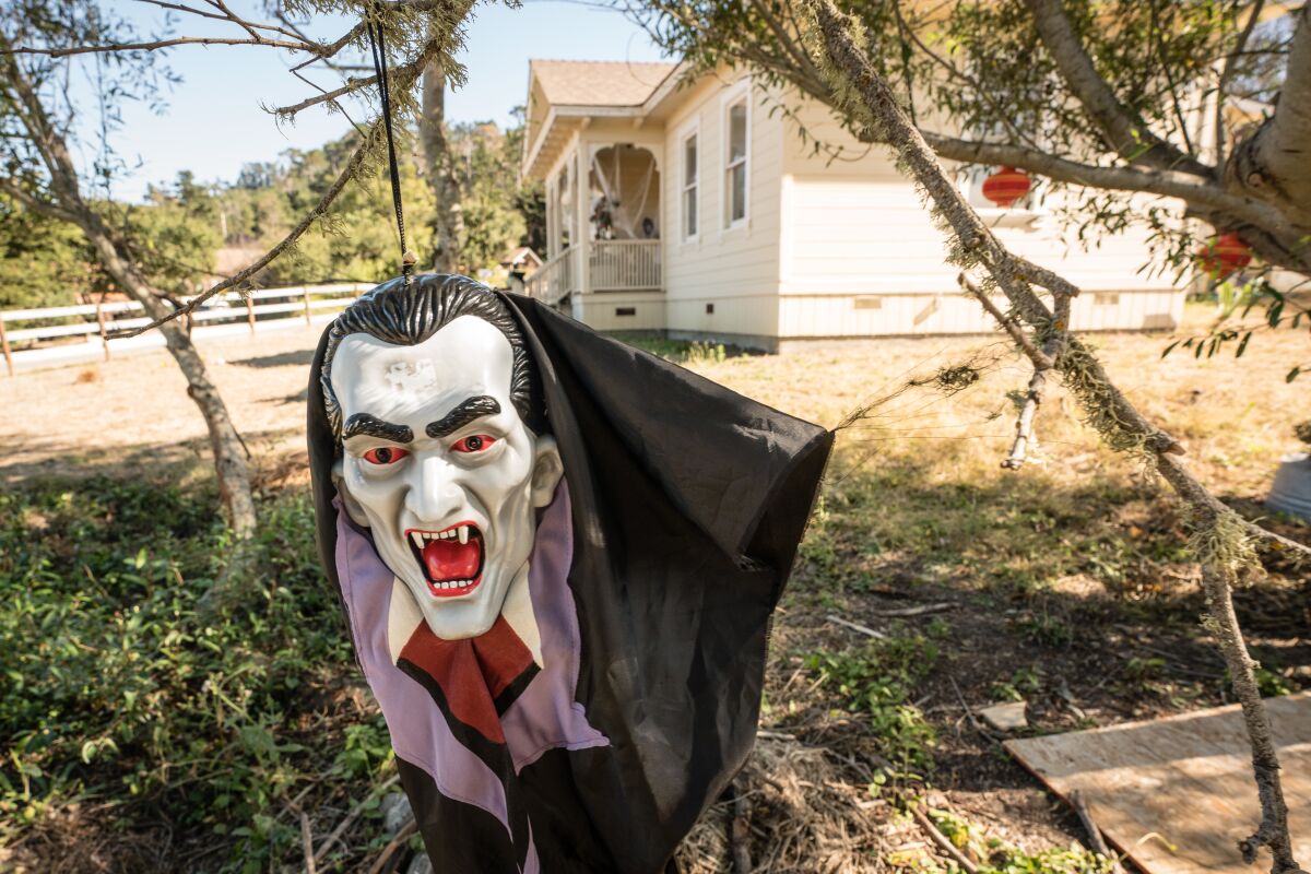 Crean miles de máscaras para el Día de Muertos y Halloween - Los Angeles  Times