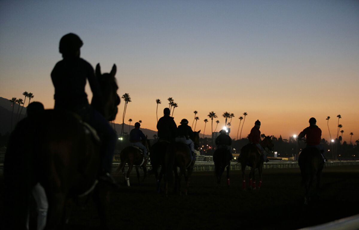 State racing regulator Madeline Auerbach and Santa Anita executive Timothy Ritvo were business partners in the ownership of a horse, raising eyebrows.