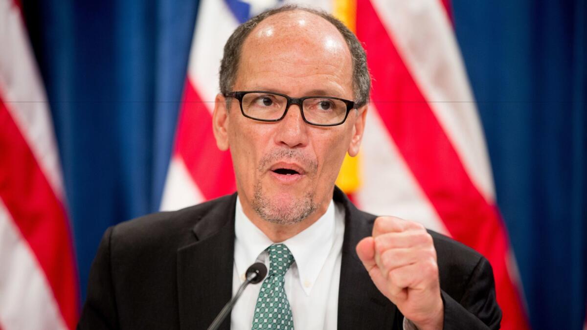 Labor Secretary Thomas E. Perez is one of the more high-profile candidates to lead the Democratic National Committee.