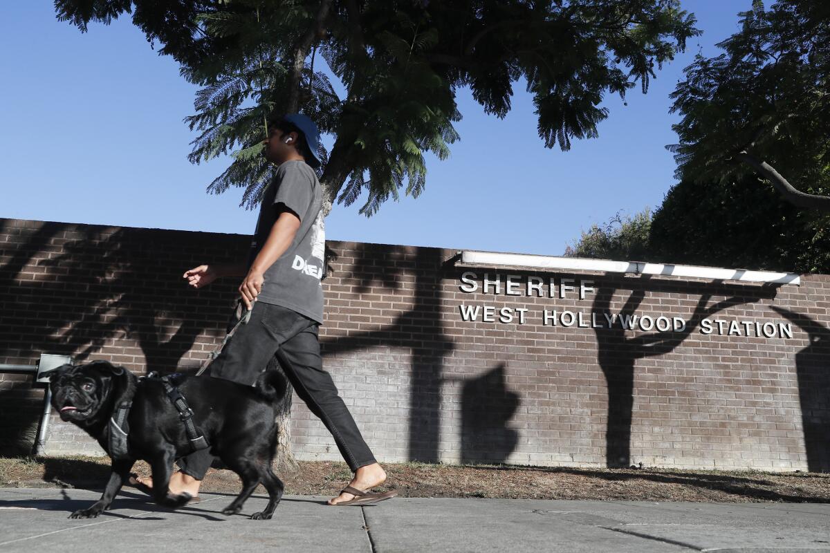 A man and a dog walk past a low brick wall that says "Sheriff West Hollywood station."