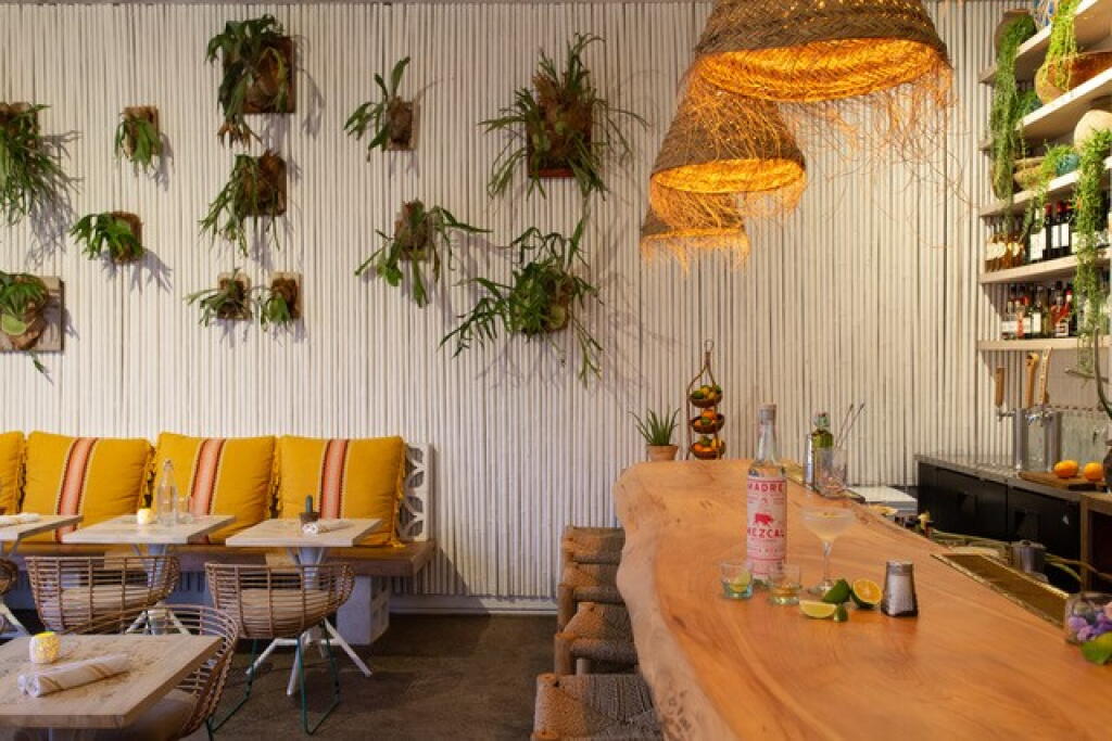 The best agave bars in Los Angeles - Los Angeles Times