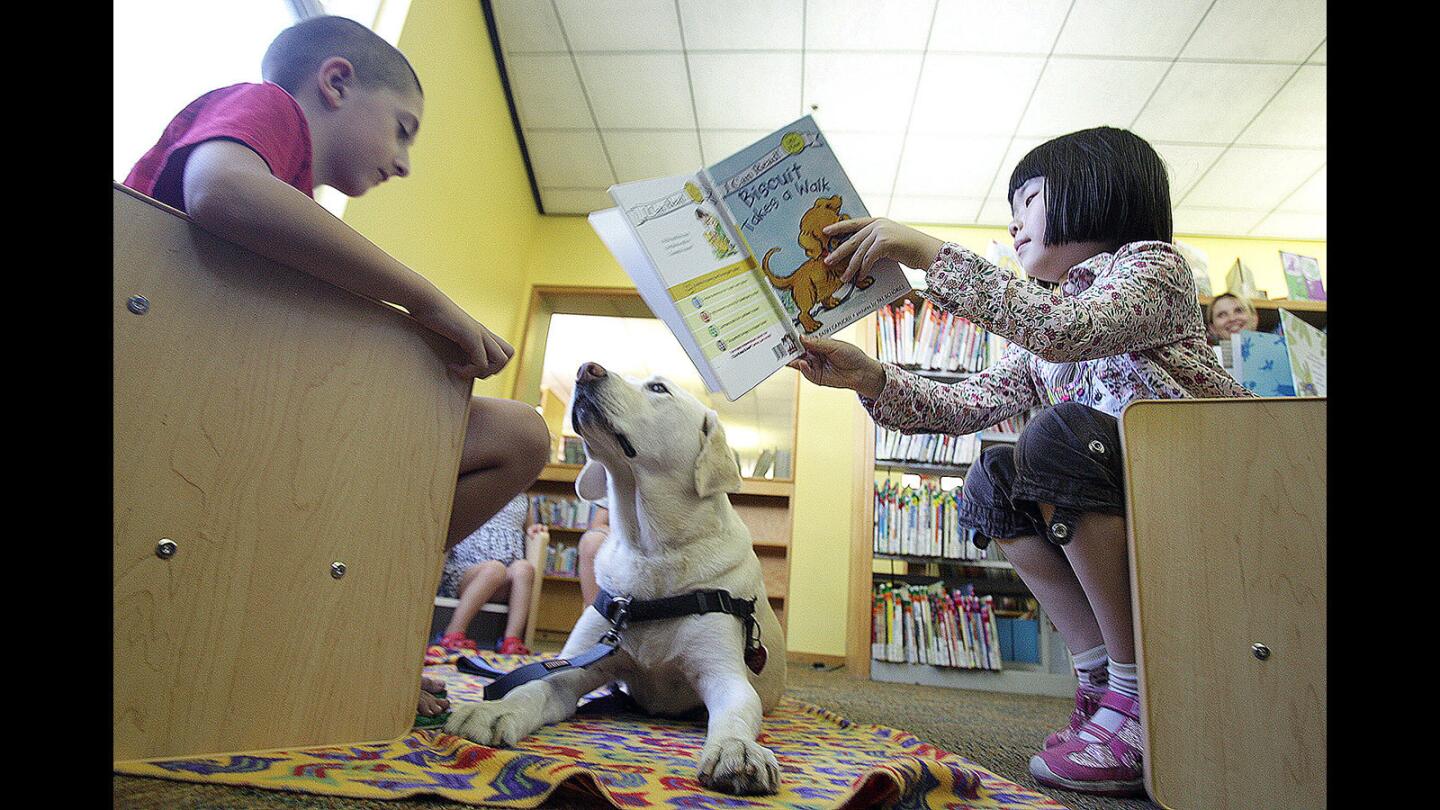 Photo Gallery: Children read to therapy dog at Montrose Library