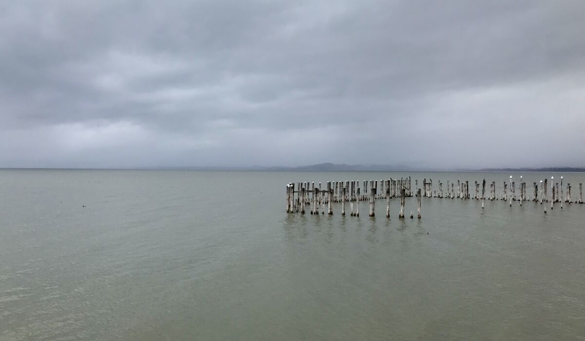 A series of wooden poles stick out of the water of a large lake under cloudy skies.