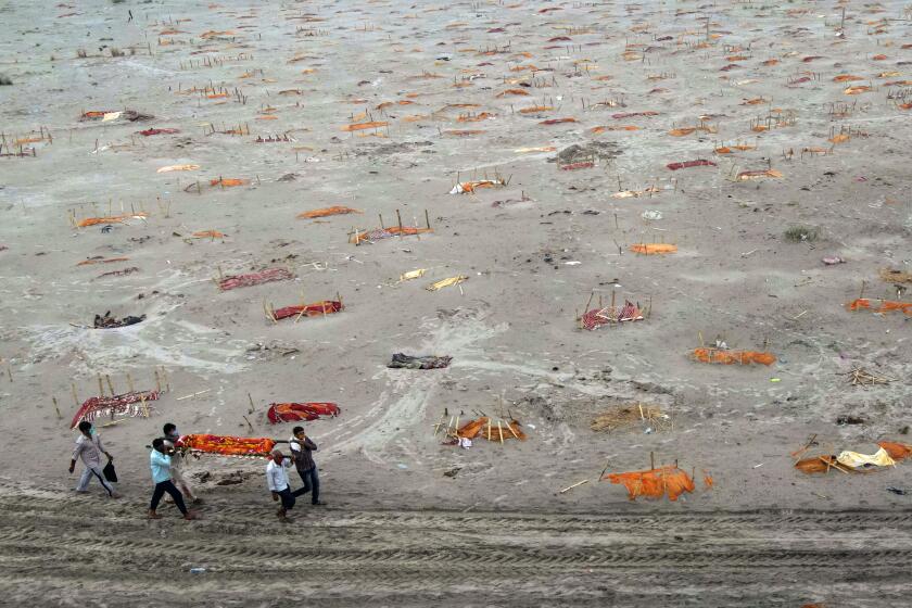 SHRINGVERPUR, INDIA - MAY 20: (EDITOR'S NOTE: Image depicts death.) Relatives carry a body for cremation past the graves of people, some of which are believed to be Covid-19 victims, that are partially exposed in shallow sand graves after rains washed away the top layer of sand at a cremation ground on the banks of the Ganges River on May 20, 2021 in Shringverpur, northwest of Allahabad, Uttar Pradesh, India. Gravediggers at the site said that there was a threefold increase in the number of bodies arriving for burials and cremations since April. Teams of police and local officials have been patrolling several areas along the river in Uttar Pradesh and Bihar to discourage burials on its banks, and to warn people of possible infection risks, local media reported. India's prolonged and debilitating wave of Covid-19 infections has reached deep into rural India, where the true extent of devastation may never be known because of a lack of widespread testing or reliable data. (Photo by Ritesh Shukla/Getty Images)