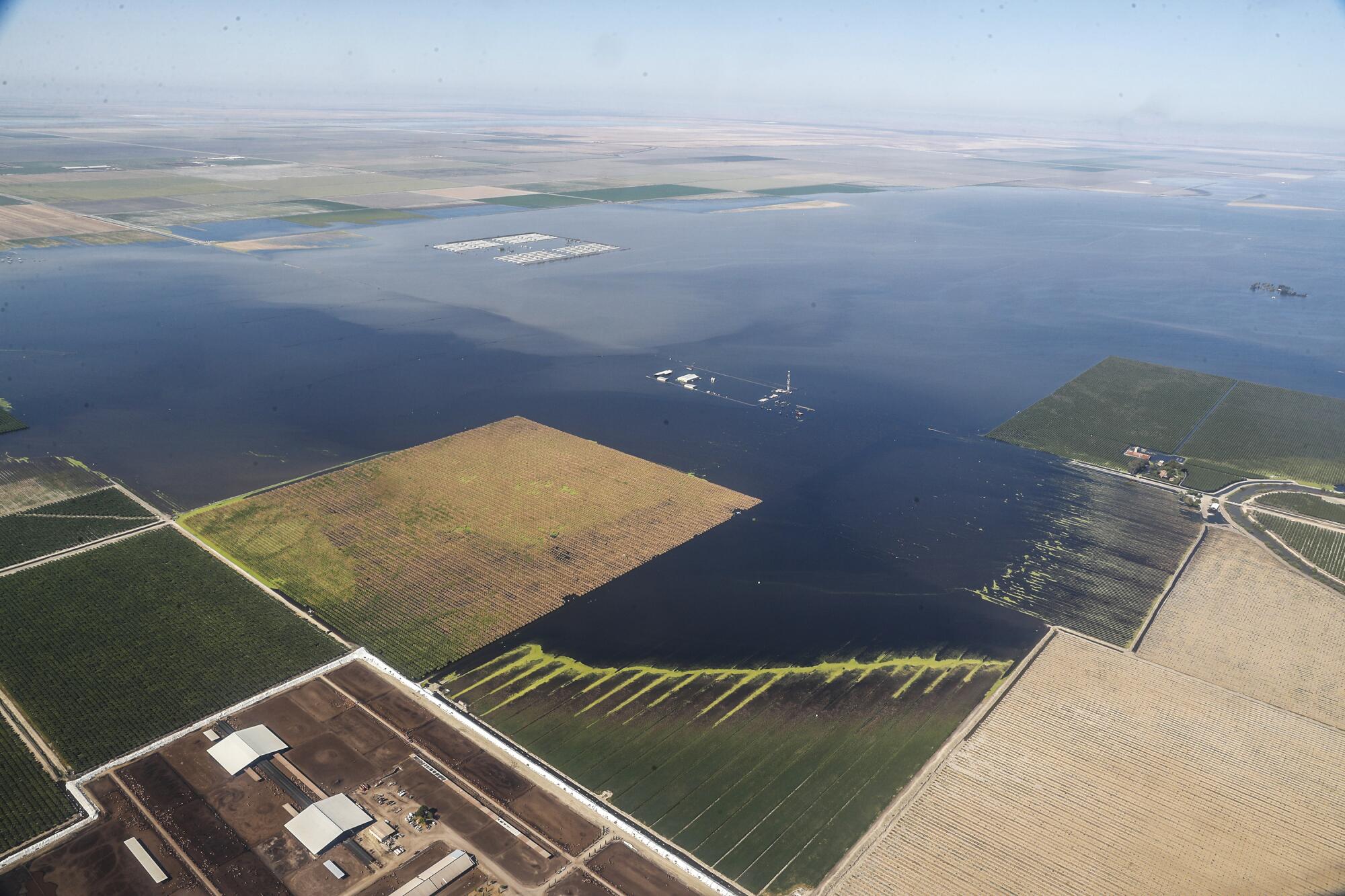 Waters of the reborn Tulare Lake stretch to the horizon.