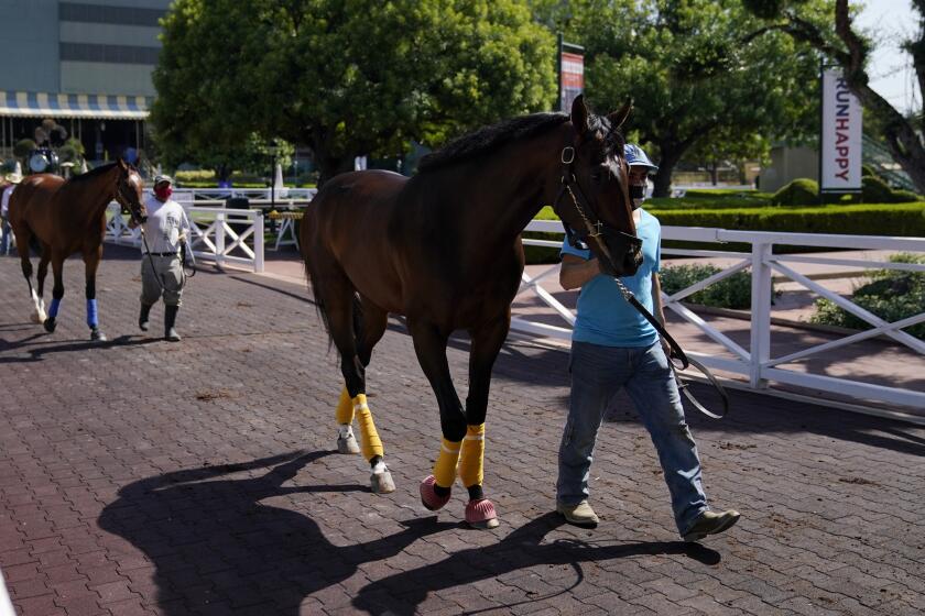 Grooms wearing face masks lead horses to the paddock at Santa Anita Park.