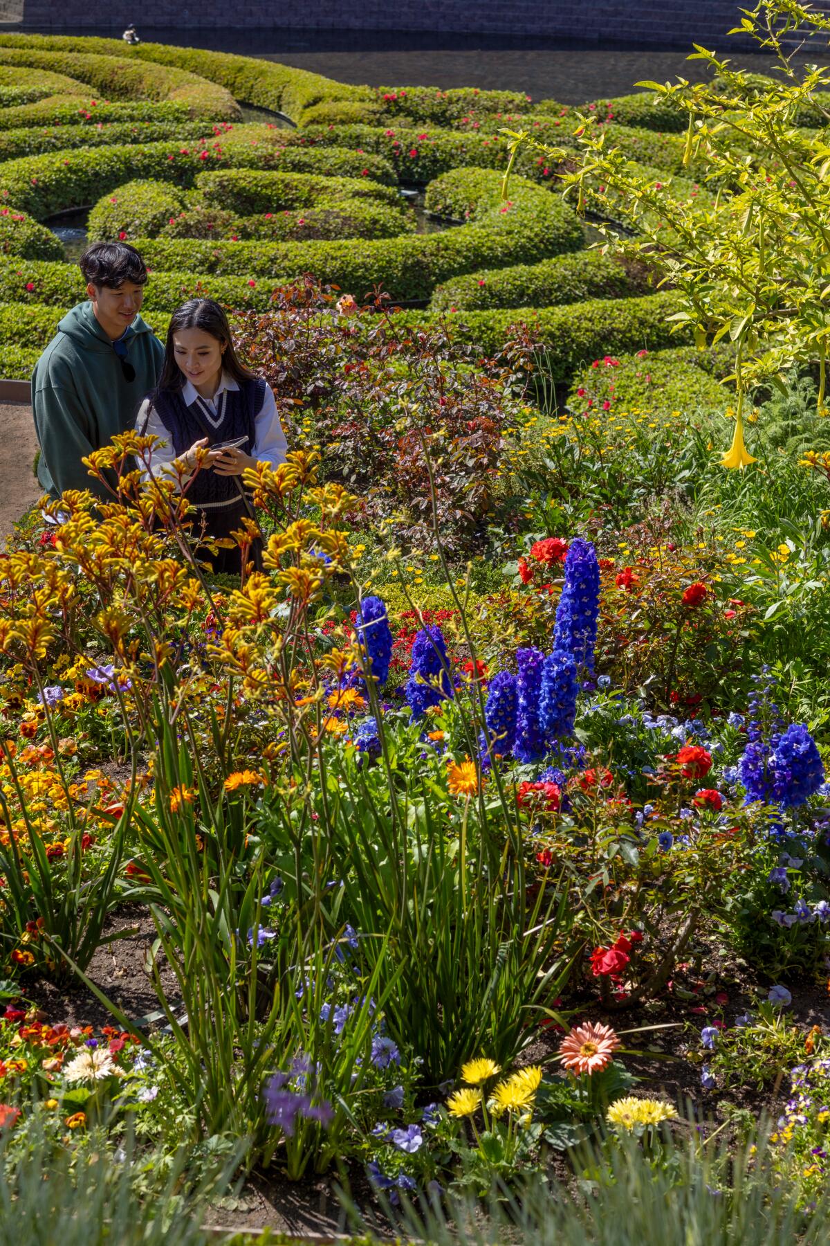 Two people walk among the flowers in bloom at the "Central Garden."