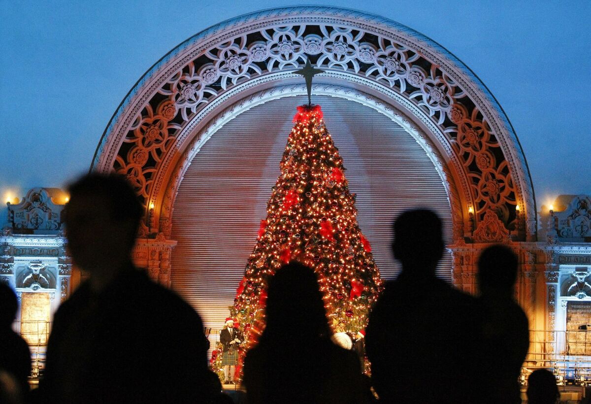 People and children look at the large Christmas tree decorated with lights on display the Organ Pavilion.