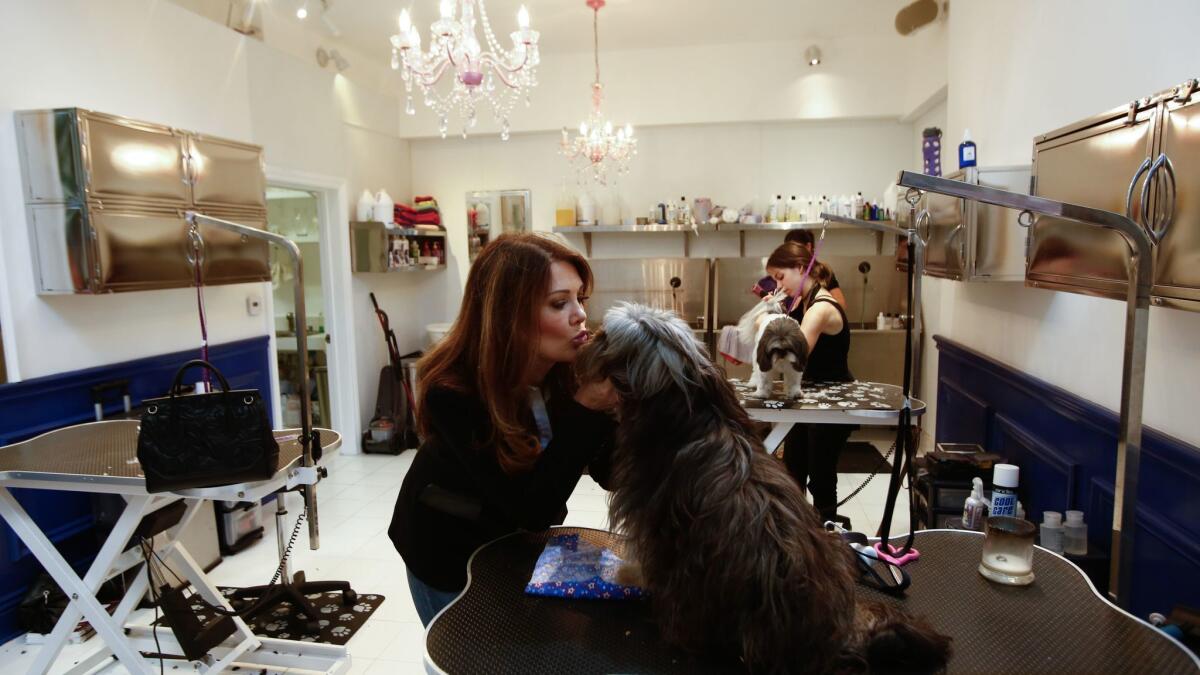 "Real Housewives of Beverly Hills" star Lisa Vanderpump kisses Ollie, who was rescued from a slaughterhouse in China in January. Vanderpump's new venture, the Vanderpump Dog Rescue Center, opened this year on West 3rd Street in Los Angeles.