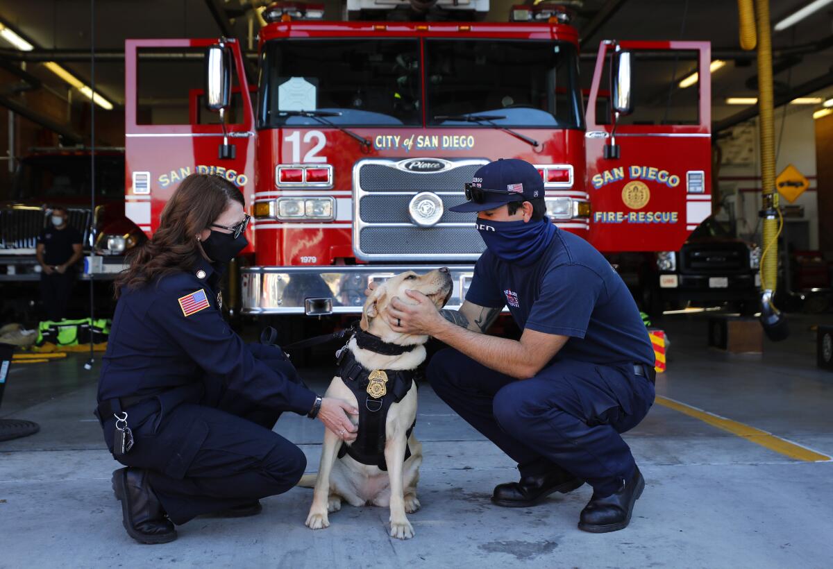 San Diego Fire-Rescue chaplain Betsy Salzman with a golden retriever and firefighter Shane Farias. 