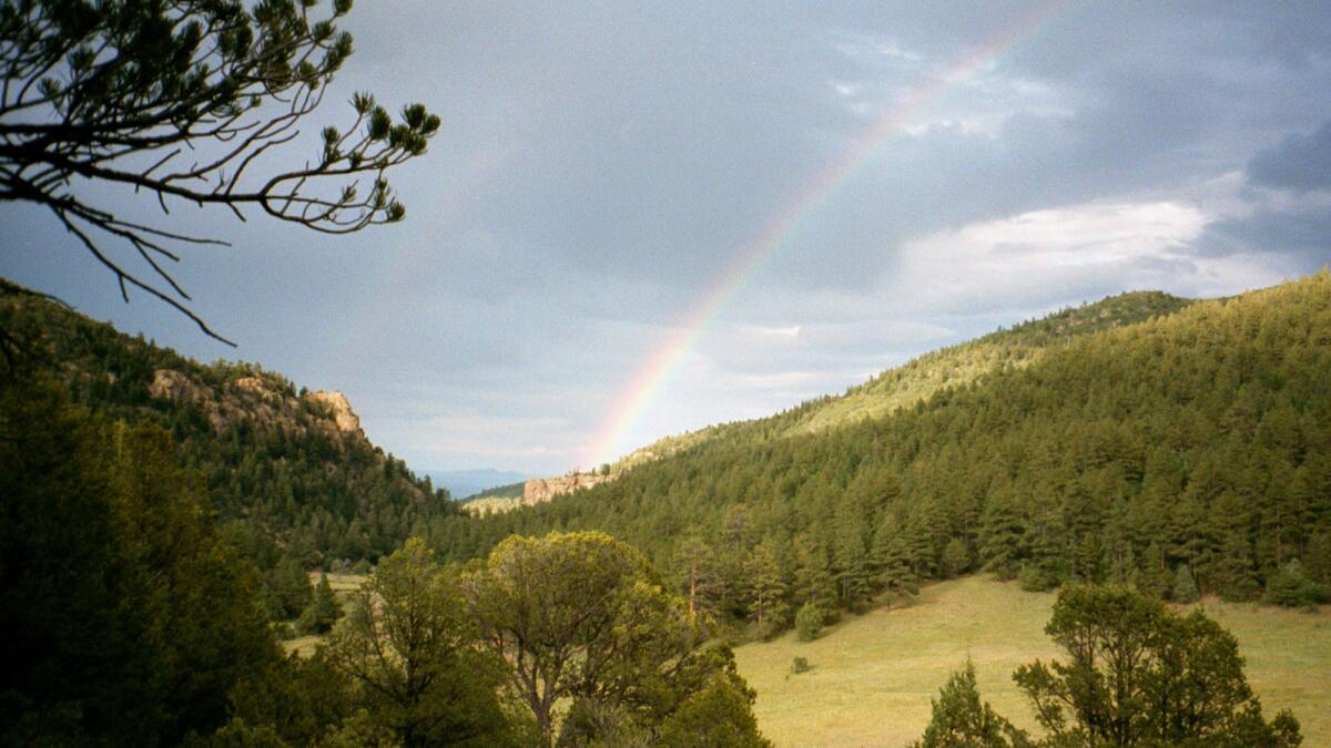 New Mexico's Philmont Scout Ranch, owned by the Boy Scouts of America, has been mortgaged by the organization, according to member of Philmont’s oversight committee.