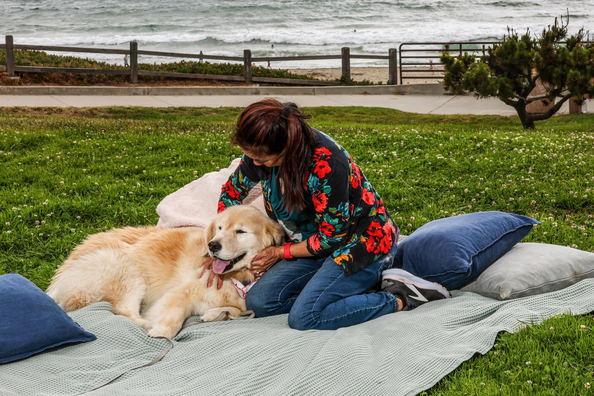 A golden retriever lays on a blanket with a woman by the ocean.