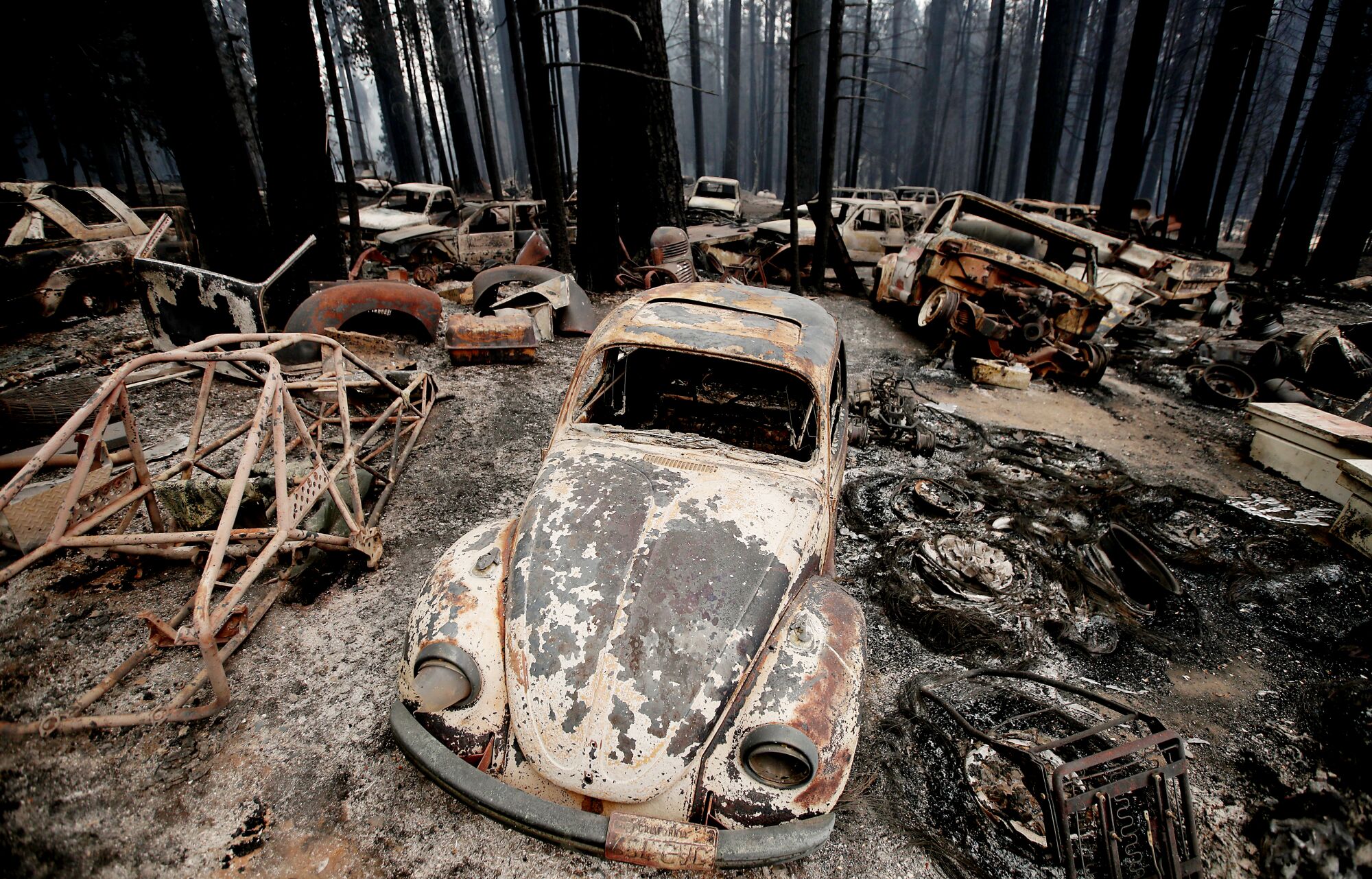 Burned vehicles and trees.