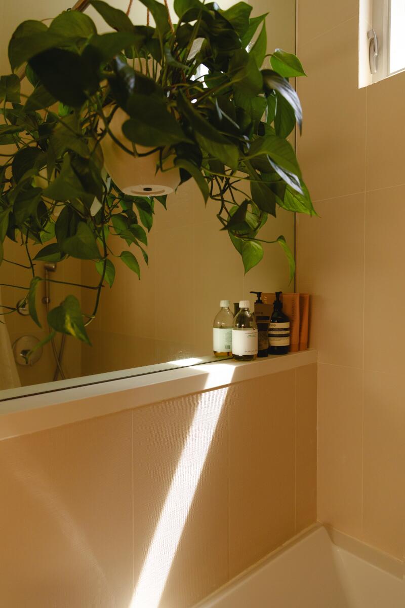 A plant growing in a bathroom with white matte floor tile and a beige backsplash.