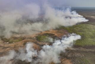 Wildfires consume an area near the Transpantaneira, also known as MT-060, a road that crosses the Pantanal wetlands, near Pocone, Mato Grosso state, Brazil, Saturday, Nov. 18, 2023. (AP Photo/Andre Penner)