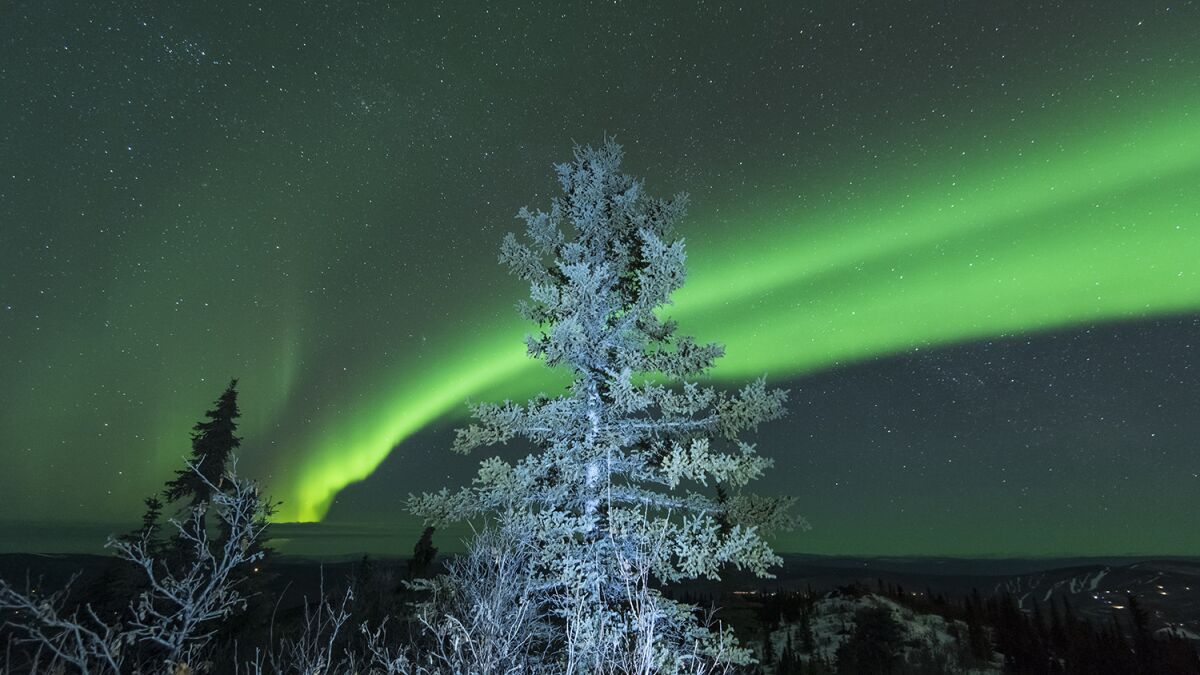 A $296 airfare on Delta from LAX to Fairbanks may put you in a position to see the northern lights.