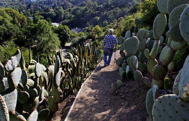 Park Nobel's cactus garden