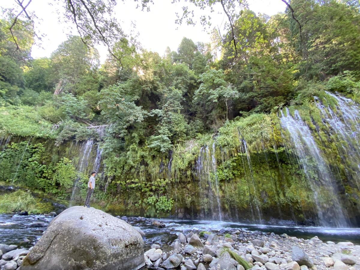 A man stands on a rock looking at water falls over lush moss.