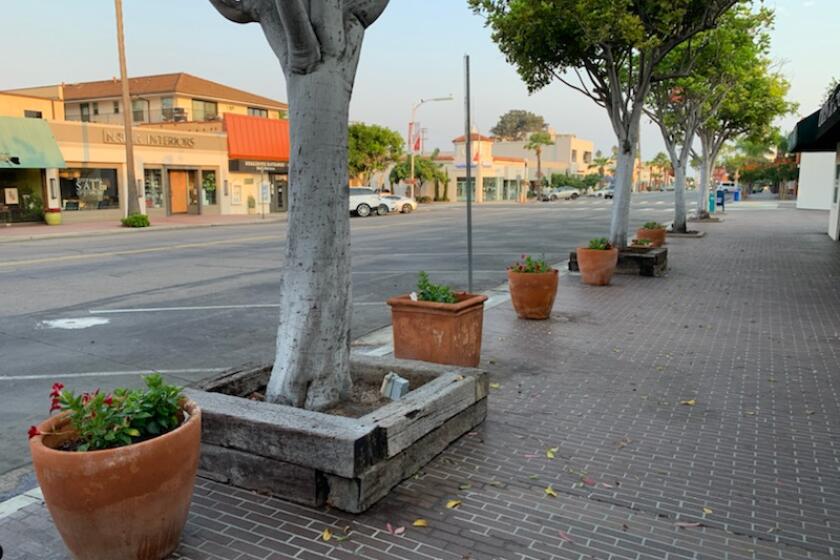 Flower pots on Girard Avenue after some much-needed sprucing and clean up by Enhance La Jolla.
