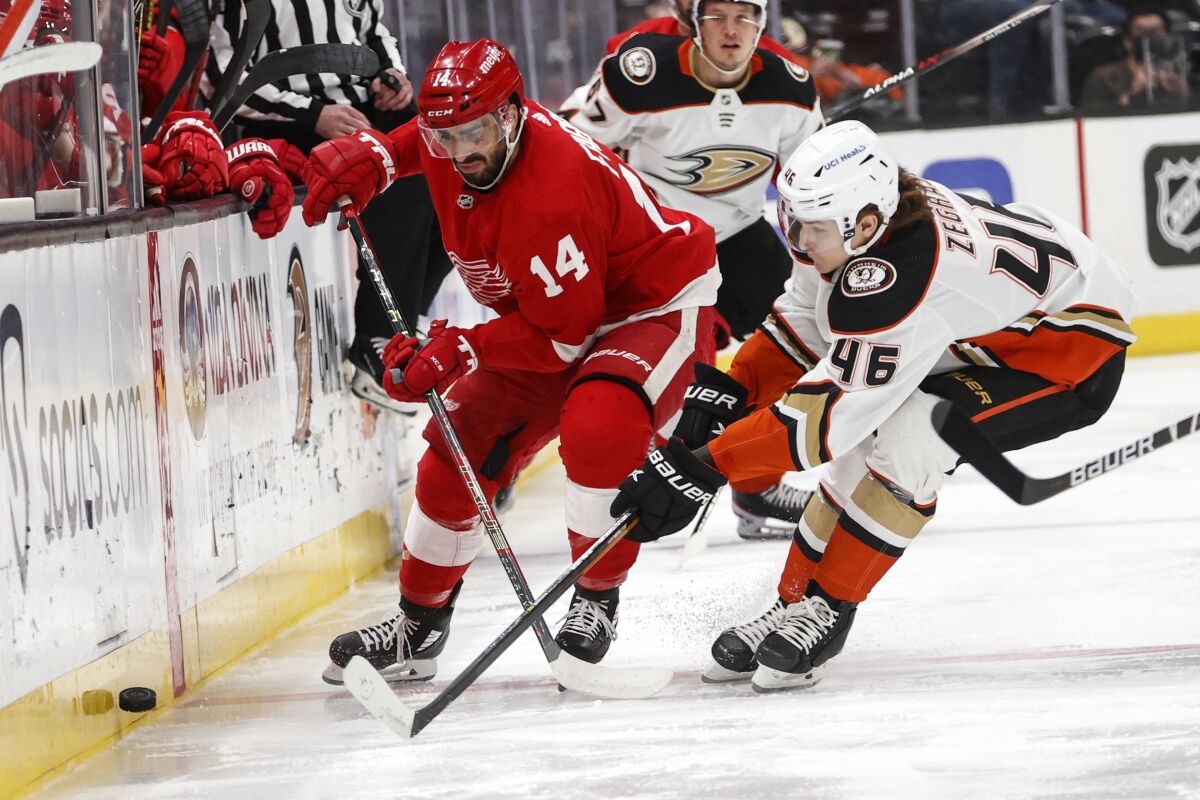 Detroit Red Wings forward Robby Fabbri (14) and Anaheim Ducks forward Trevor Zegras (46) chase the puck during the first period of an NHL hockey game Sunday, Jan. 9, 2022, in Anaheim, Calif. (AP Photo/Ringo H.W. Chiu)