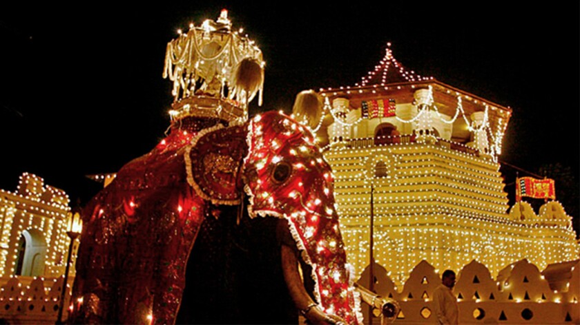 Lavishly decorated elephants parade during the Kandy Esala Perahera festival in Sri Lanka. 