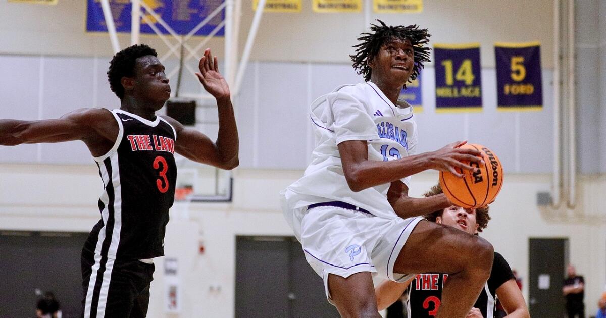 Popoola twins lead Palisades to City Open Division basketball title Popoola twins lead Palisades to City Open Division basketball title