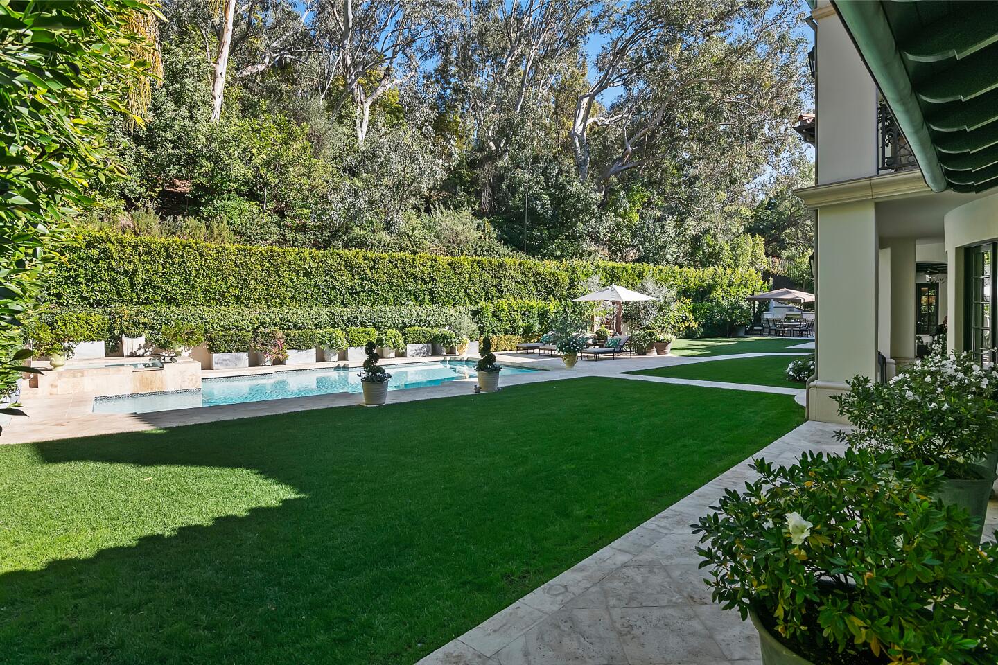 The backyard.