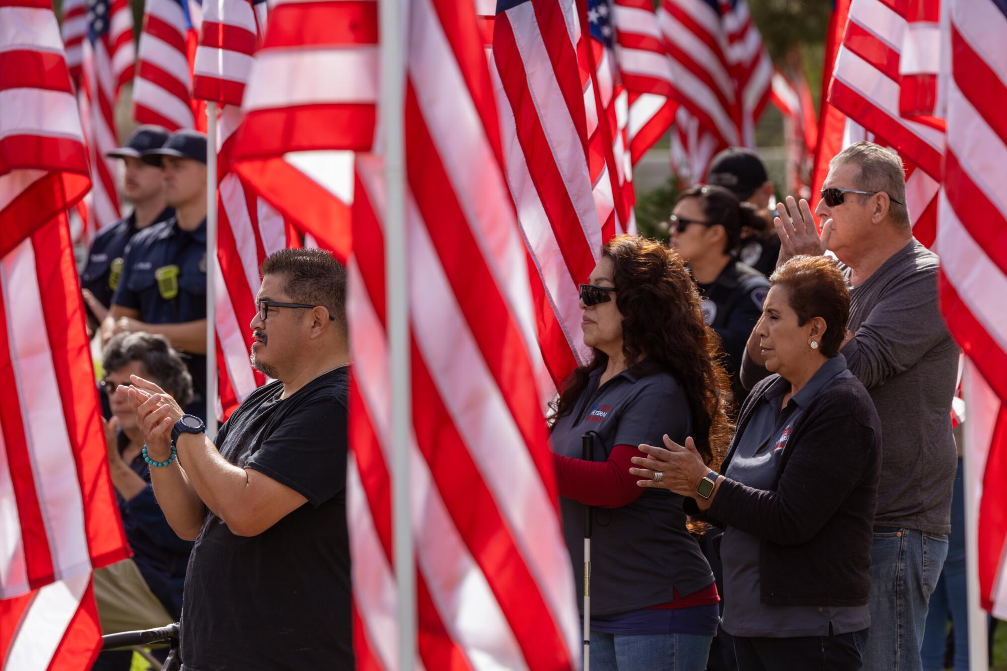 Attendees stand among 201 flags installed for Veterans Day ceremony at Plaza Park on Friday.