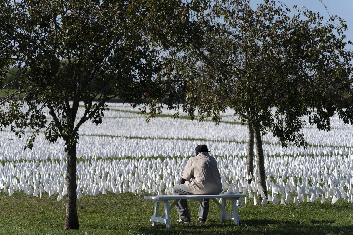 A seated person looks at a field of small white flags.