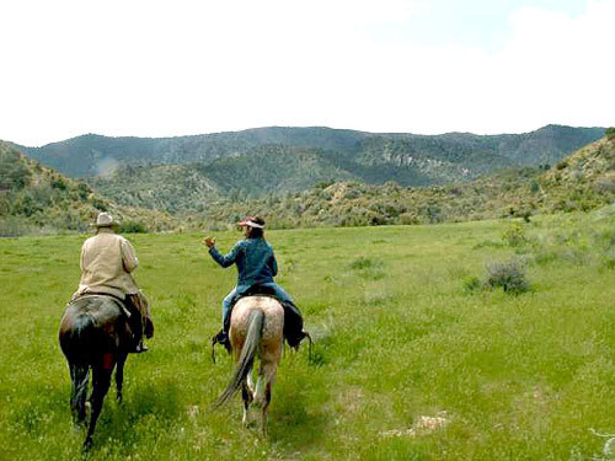THE BIG VALLEY: Emery Johnston, left, a horse camp owner and cattle rancher, leads a springtime ride through the green hills of New Cuyama, Calif.