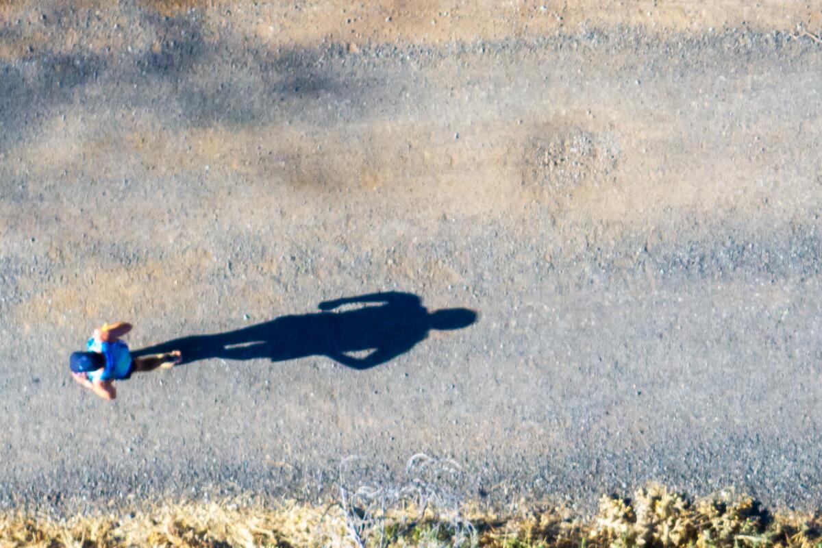 A runner casts a long shadow as he runs west out of Michigan Bluff.