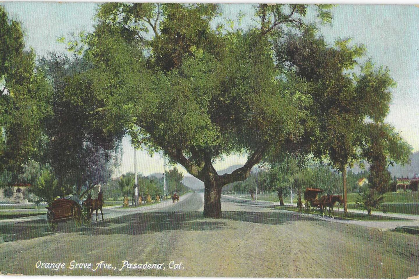 Orange Grove Ave., Pasadena, Cal.