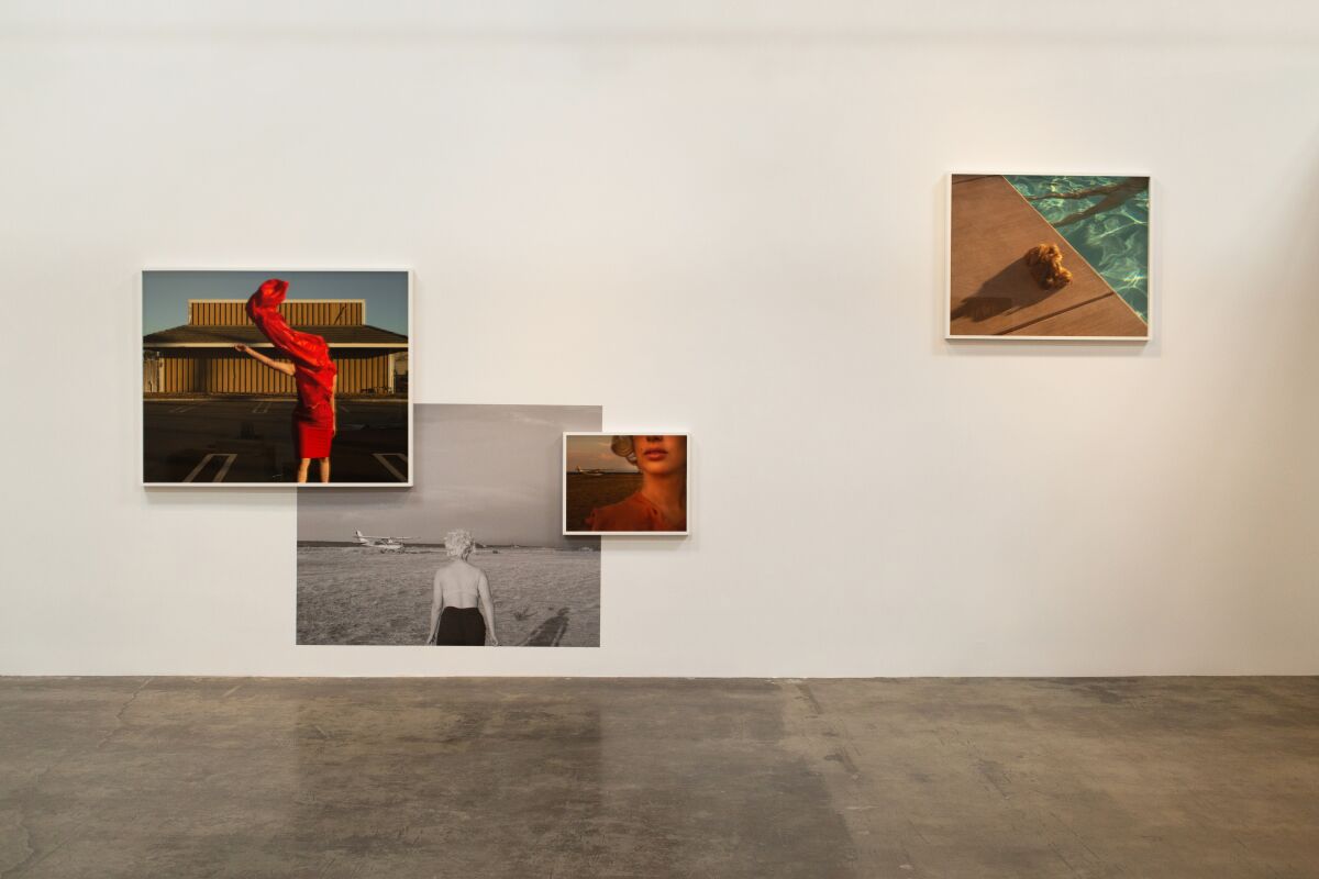 Installation view of Tania Franco Klein's show at Rose Gallery. 