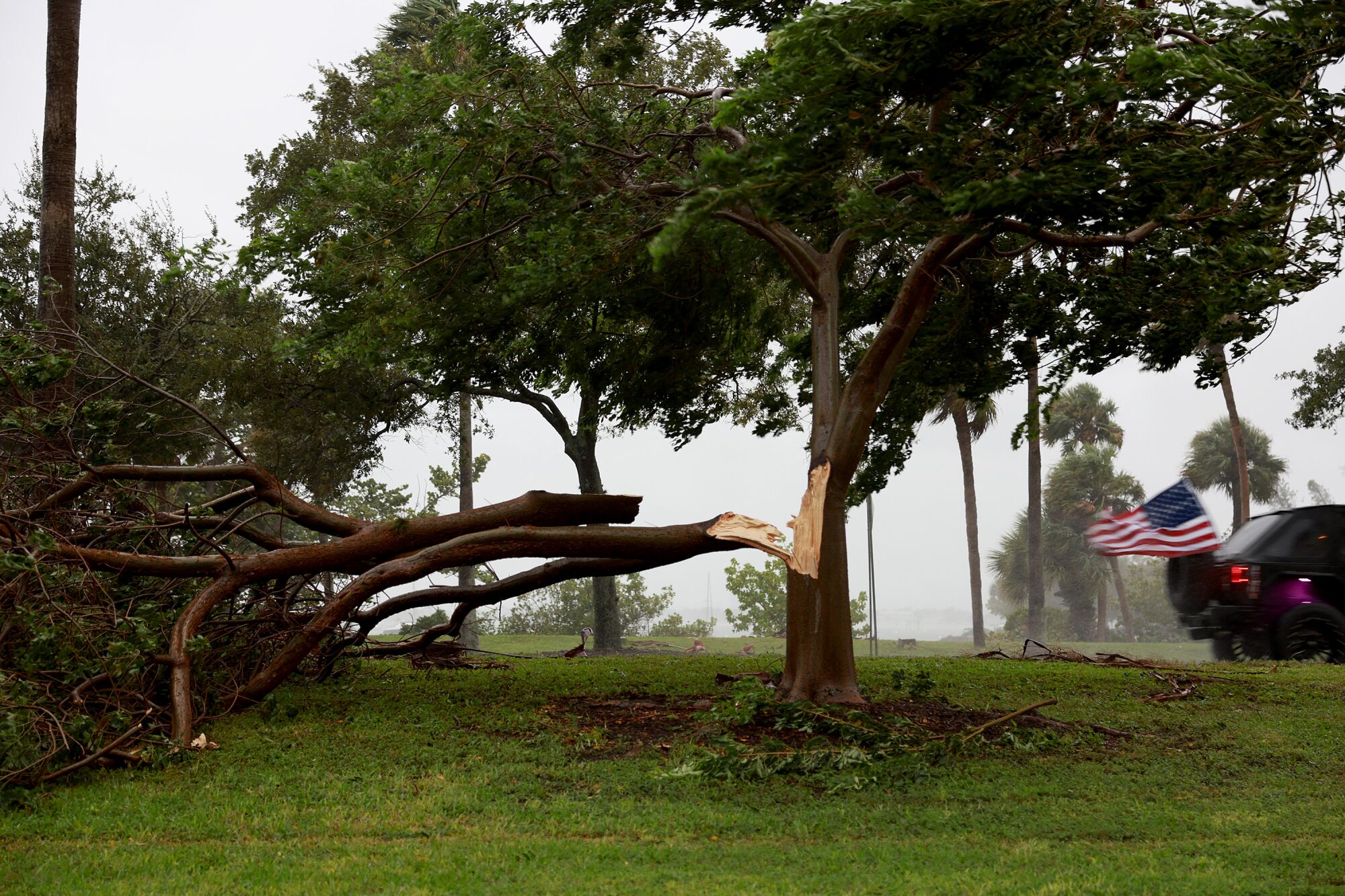 Une branche d'arbre brisée par les vents violents de l'ouragan Ian à Sarasota, en Floride.