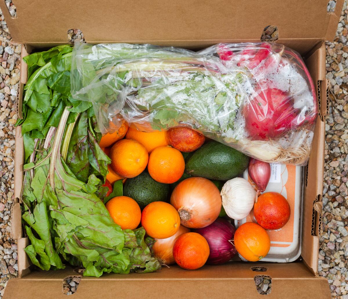 A produce box from Schaner Farms with navel oranges, blood oranges, lemons, limes, yellow and red onions, garlic, shallots, avocados, spring onions, rainbow beets, eggs and French breakfast radishes. Lady & Larder is a distrubution center for Schaner Farms produce boxes. The contents of the box change every week. 