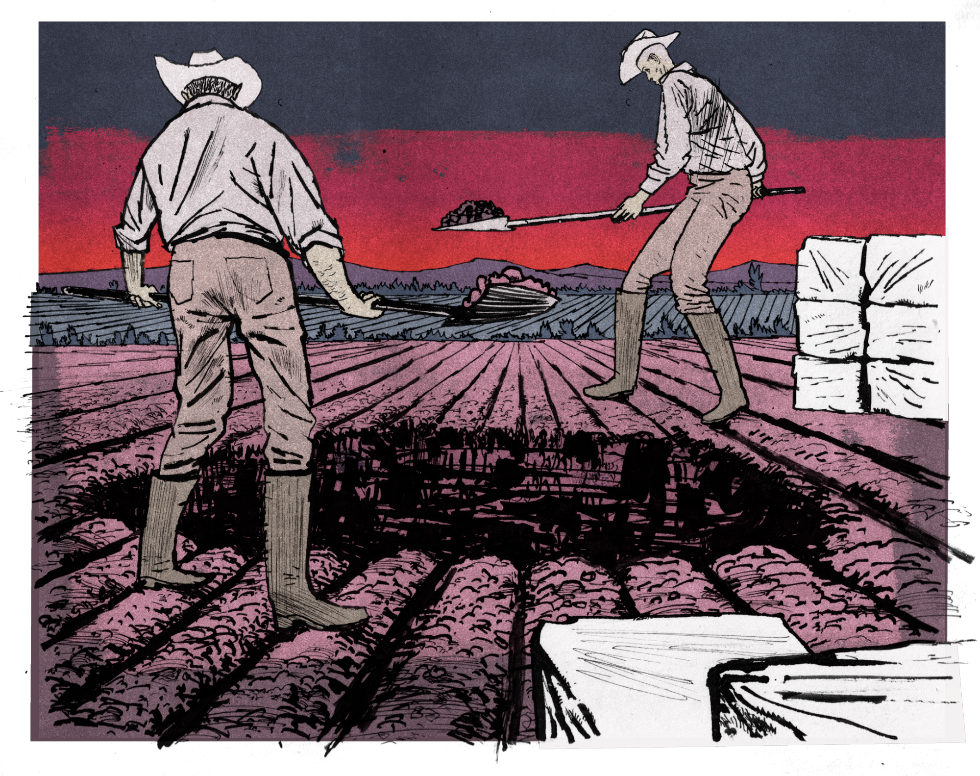 An illustration of two men digging a hole to bury drugs.